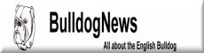 Bulldognews English bulldog breeder in Germany or Deutschland ou Allemagne